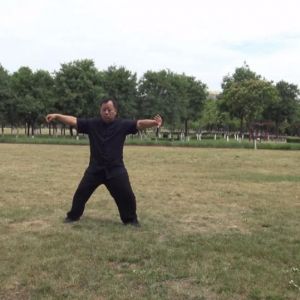 ܹݳʽ̫ȭ2020ӭȫˡƵ