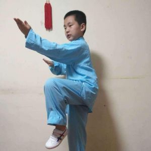 رݳʽ̫ͳϼԱ·2020ӭȫˡƵ