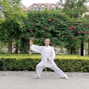 ±ݳʽ̫ȭ2020ӭȫˡƵ