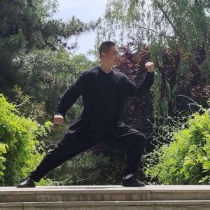 齨ݳʽ̫ȭ2020ӭȫˡƵ