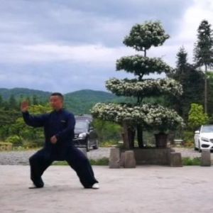 ݳʽ̫ȭܡ2020ӭȫˡƵ