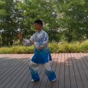 Ԫݳʽ̫ȭ2020ӭȫˡƵ