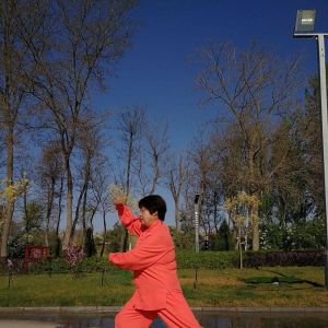 Ԫٱ24ʽ̫ȭڶʡ̫ȭ