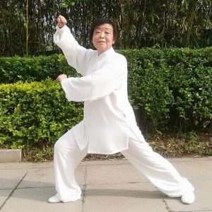 ܲٴͳʽ̫ȭ13ʽڶʡ̫ȭ