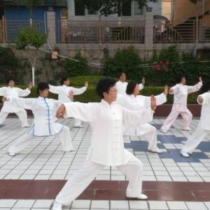 ̫ȭЭ㳡վͳʽ̫ȭڶʡ̫ȭ