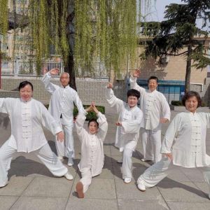 ̫ȭЭԴ㳡վͳʽ̫ȭڶʡ̫ȭ