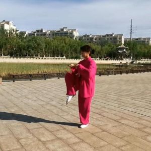 ϼݳʽ49ʽ̫ڶʡ̫ȭ