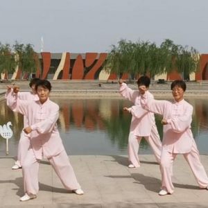 ػ͸ĵӷ鸨վݴͳʽ̫ȭڶʡ̫ȭ