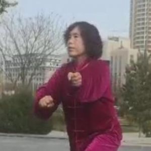 ձݳʽ̫ȭҪʮʽڶʡ̫ȭ