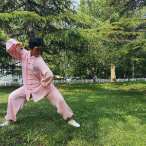 ݴͳʽ̫ȭ2020׽̫ȭ