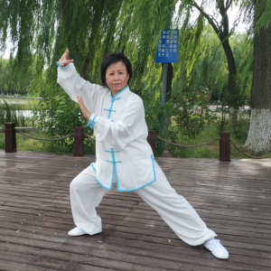 ݴͳʽ̫ȭ2020׽̫ȭ