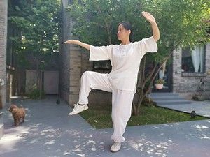 Цͳʽ̫ȭ13ʽޱ̫ȭƵ