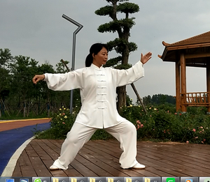 ÷ϼһ·ѡΡޱ̫ȭƵ