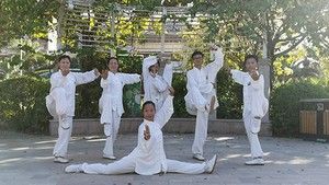 ݶػƲ̫ȭЭᡪޱ̫ȭƵ