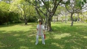 ʫ޳ʽ̫49ʽޱ̫ȭƵ