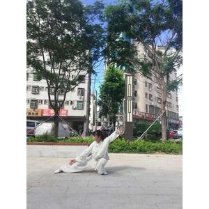 24ʽ̫ȭ2020ޱ̫ȭƵ