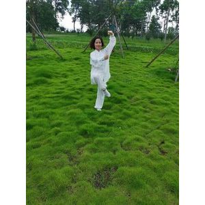 Ҷоʽ̫ȭ18ʽޱ̫ȭƵ