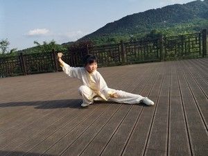 ͮʽʮʽ̫ȭޱ̫ȭƵ