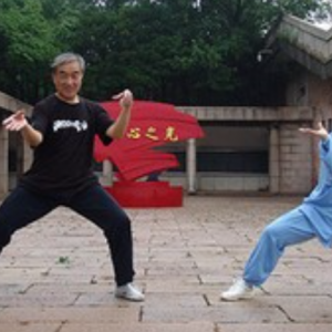 壺ʽ̫ȭ2020ޱ̫ȭƵ