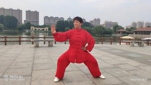 κȫӢʽͳ̫ȭޱ̫ȭƵ