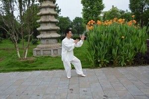 ͺͳʽ̫ȭѡޱ̫ȭƵ