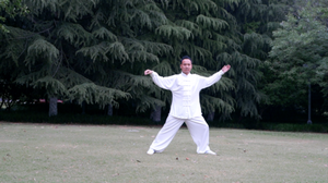 ſʽ̫ȭ72ʽޱ̫ȭƵ