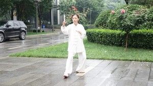 Ĵͳʽ43ʽ̫ȭޱ̫ȭƵ