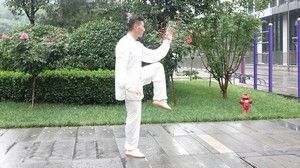 ͳʽ43ʽ̫ȭޱ̫ȭƵ