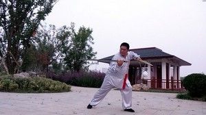 ´ͳʽ53ʽ̫ޱ̫ȭƵ