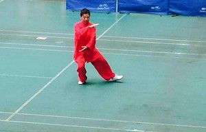 ƽʽ̫ȭʮʽޱ̫ȭƵ