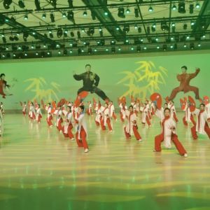 ���������ܾ��й��쵼�߷ú�������̫����