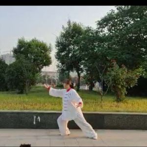 ٱ40ʽ·2020ɽϳ̫ȭݡƵ