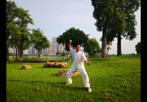 ųݳ̫ѡ2020ɽϳ̫ȭݡƵ