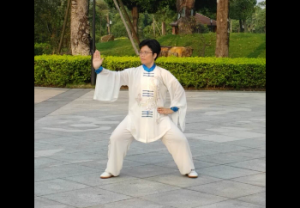 ݳʽ̫ȭ2020ɽϳ̫ȭݡƵ