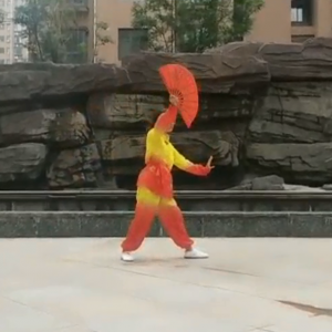 ˼塪2020׽조ᱭ̫ȭ