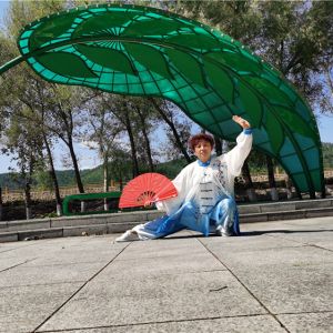 Ǯ24ʽ̫ȭ2020׽조ᱭ̫ȭ