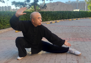 ȫͳ̫ȭ2020׽조ᱭ̫ȭ