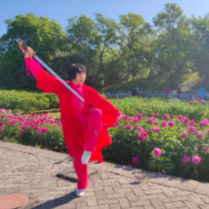 ۡϼ2020׽조ᱭ̫ȭ