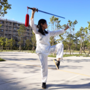 Ź١2020׽조ᱭ̫ȭ