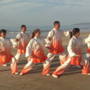 ݶ̫ȭЭƲֻᡪ2020׽조ᱭ̫ȭ