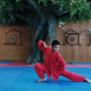 Ŵʽ̫ȭϼһ·2020׽조ᱭ̫ȭ