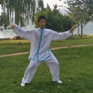 ׵vʽ̫ȭ2020׽조ᱭ̫ȭ