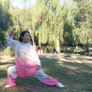 ÷˷岽2020׽조ᱭ̫ȭ