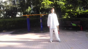 ݳʽ̫2020׽조ᱭ̫ȭ