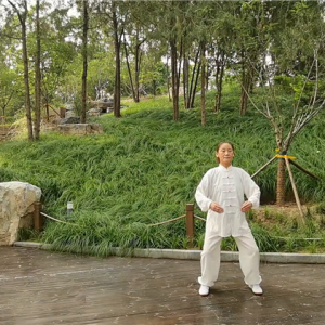 ݰ˶ν2020׽조ᱭ̫ȭ