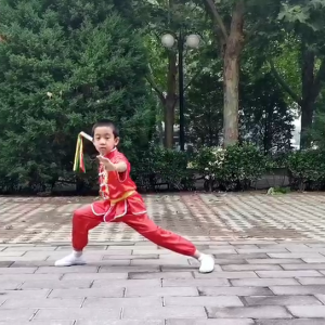 ˫ڹ2020׽조ᱭ̫ȭ