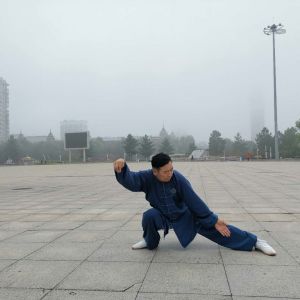 ݳʽ̫ȭ2020׽조ᱭ̫ȭ