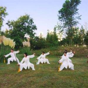 ɽЭĻ㳡̫ӡ2020׽조ᱭ̫ȭ