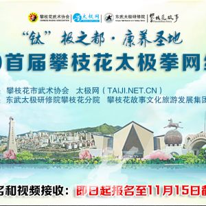 ѡ֮ʥء2020׽֦̫ȭ