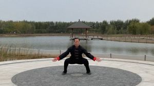 鶫̫ڹķӽǵġ롰ޡ